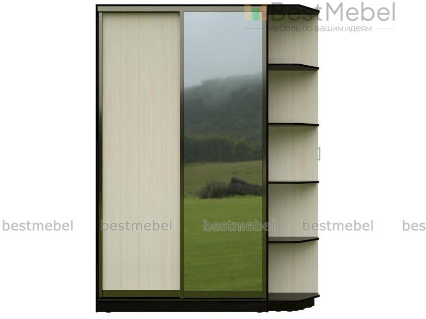Шкаф-купе Тромпия 9 BMS - Фото