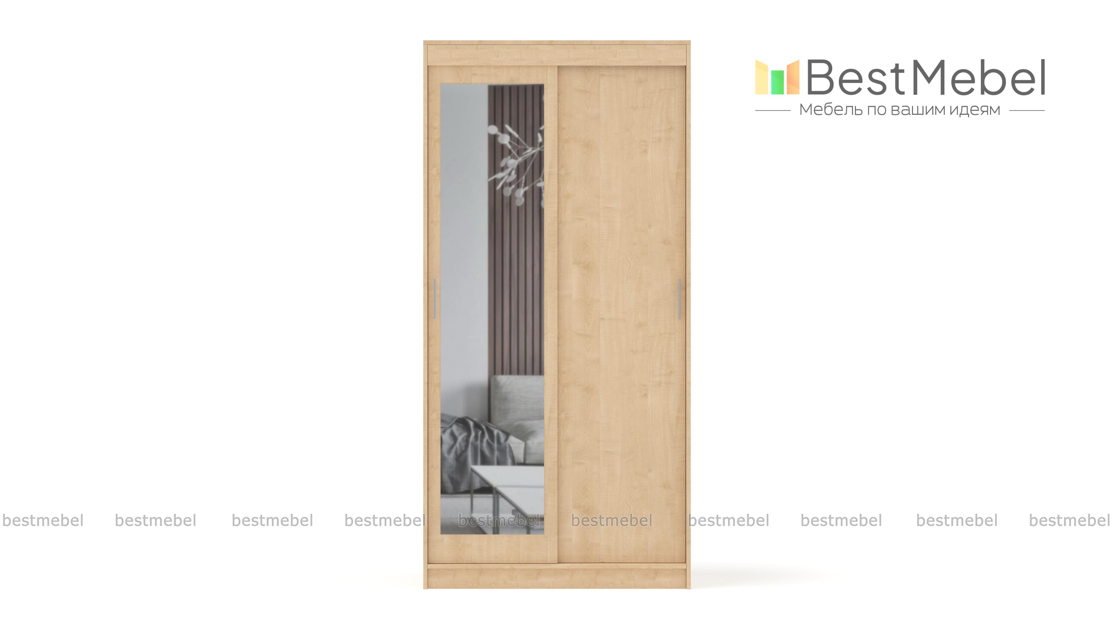 Шкаф-купе СРД-2х дверный с зеркалом BMS - Фото