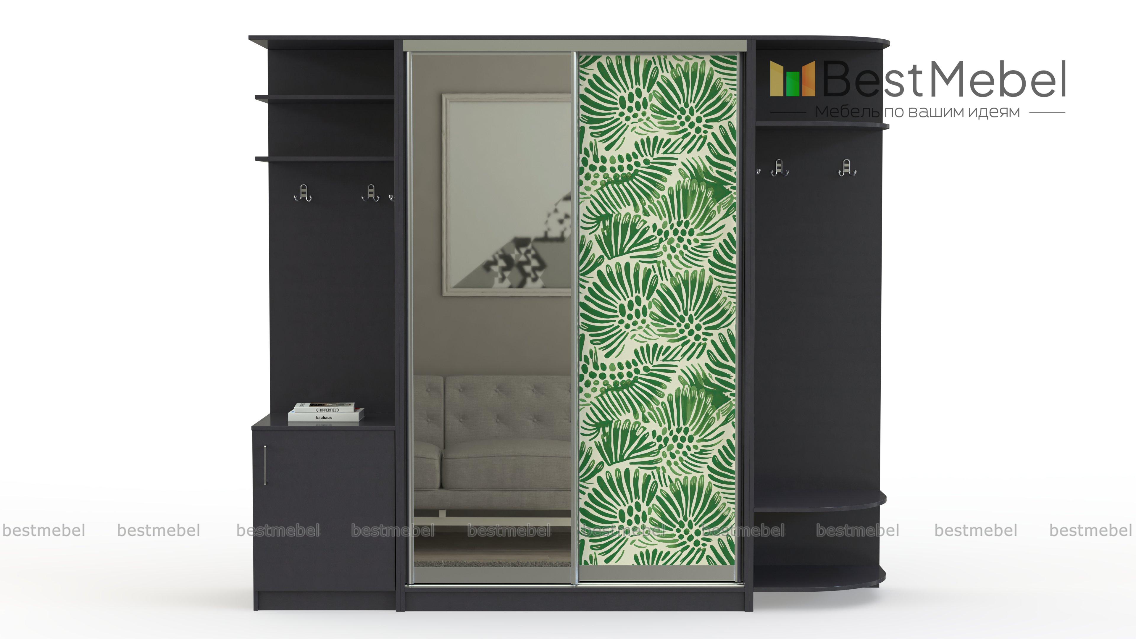 Шкаф-купе Франс 1 BMS - Фото