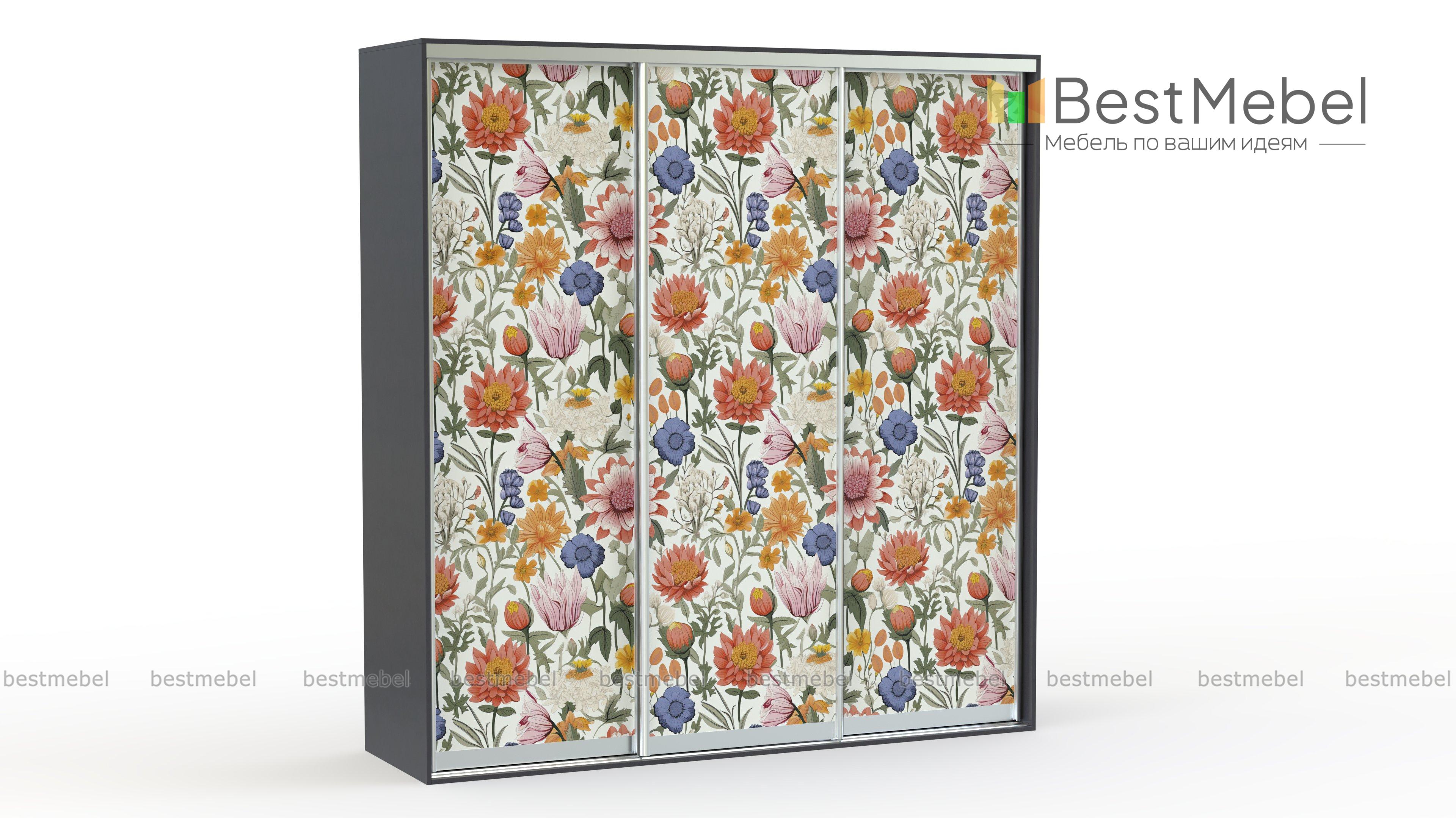 Шкаф-купе Живопись 13013 BMS - Фото