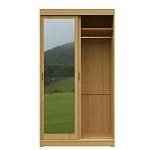 Шкаф-купе СРД-2х дверный с зеркалом BMS - Фото 17