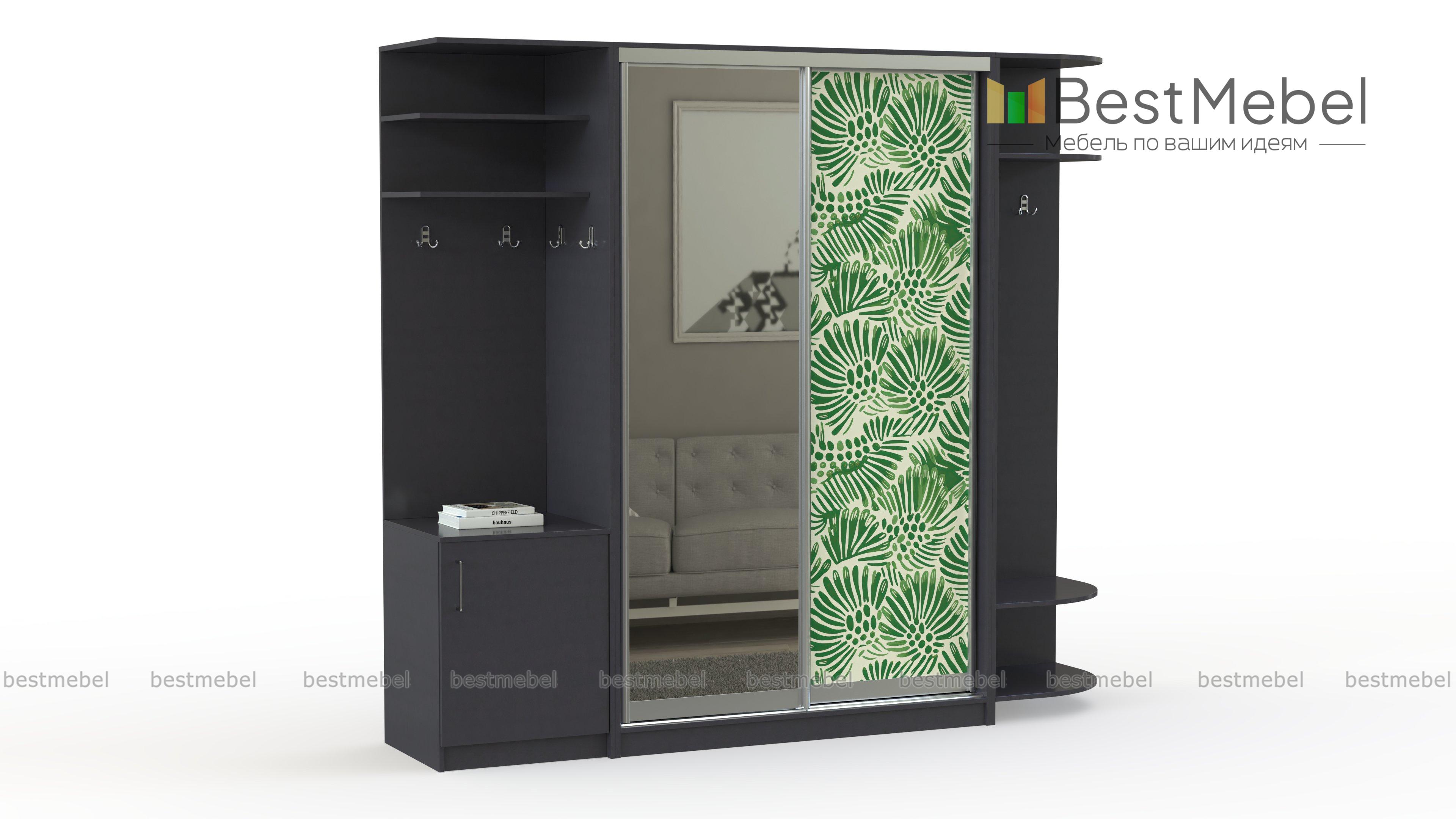 Шкаф-купе Франс 1 BMS - Фото