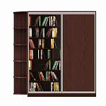 Шкаф-купе Тайп 20 BMS - Фото 1