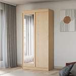 Шкаф-купе СРД-2х дверный с зеркалом BMS - Фото 5