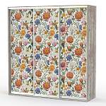 Шкаф-купе Живопись 13013 BMS - Фото 5