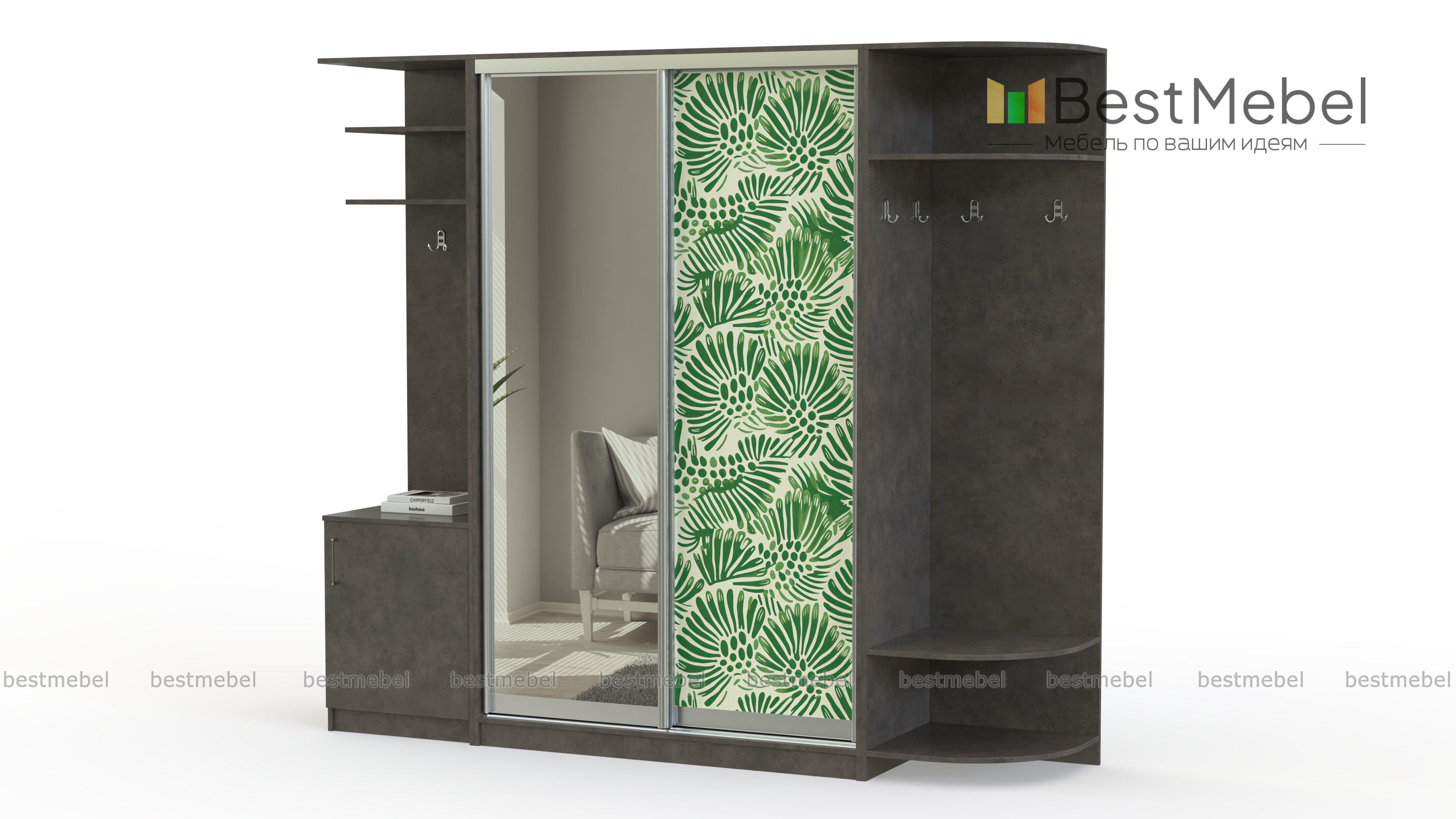 Шкаф-купе Франс 1 BMS - Фото